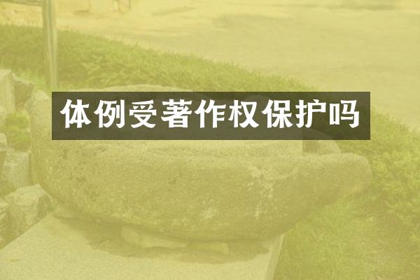 体例受著作权保护吗