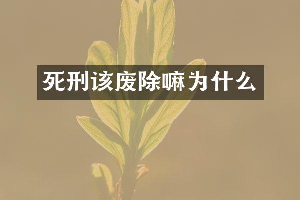 死刑该废除嘛为什么