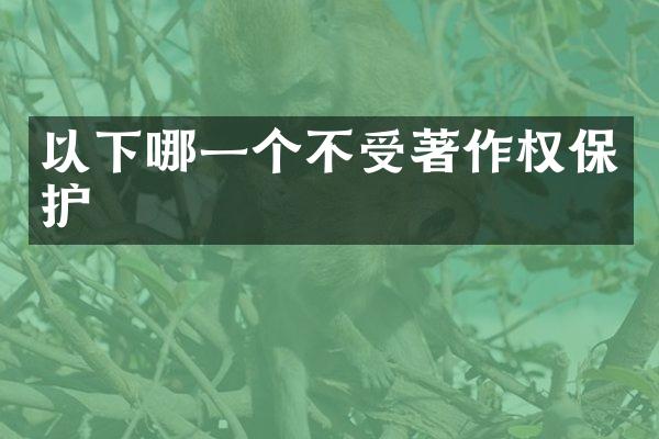 以下哪一个不受著作权保护