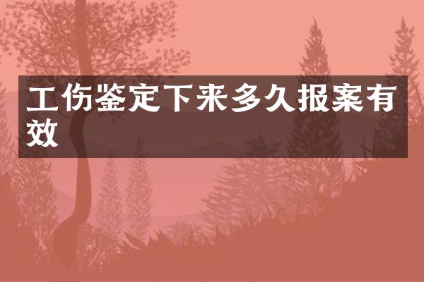 工伤鉴定下来多久报案有效