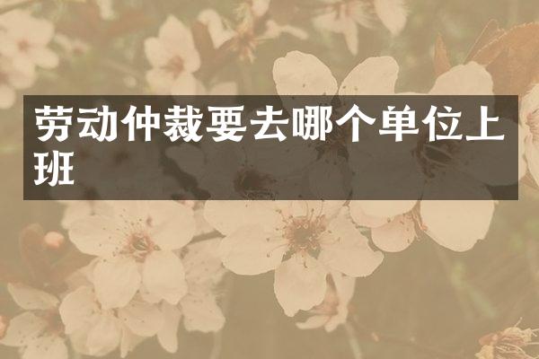 劳动仲裁要去哪个单位上班