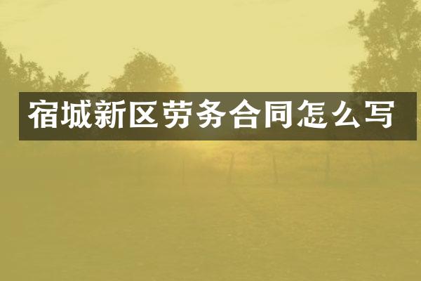 宿城新区劳务合同怎么写