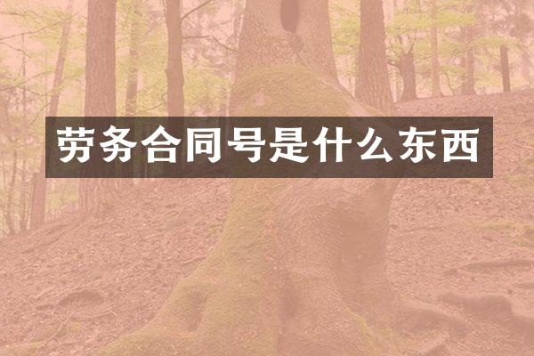 劳务合同号是什么东西