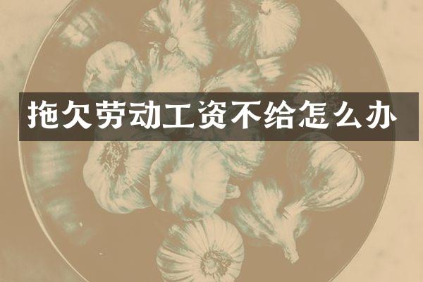 拖欠劳动工资不给怎么办