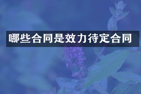 哪些合同是效力待定合同