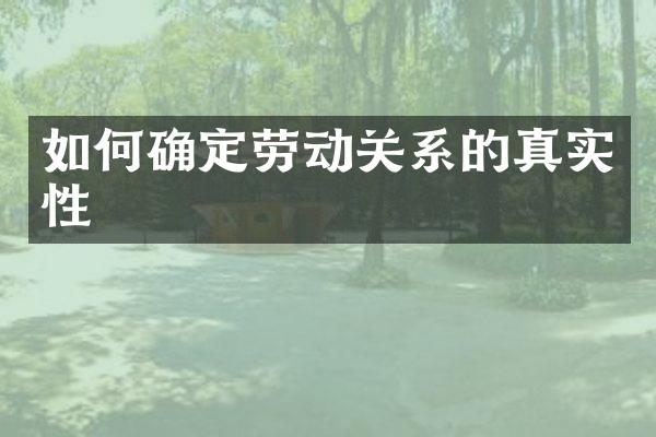 如何确定劳动关系的真实性