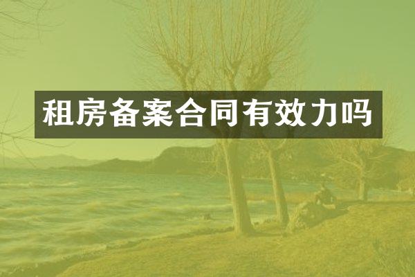 租房备案合同有效力吗