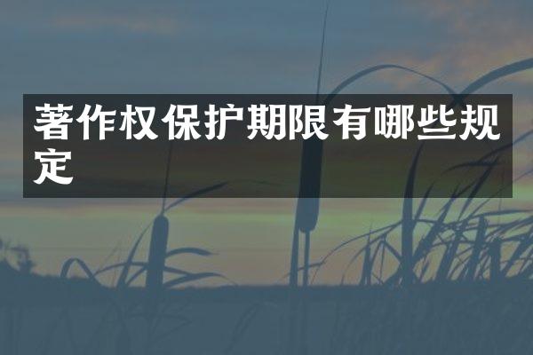 著作权保护期限有哪些规定