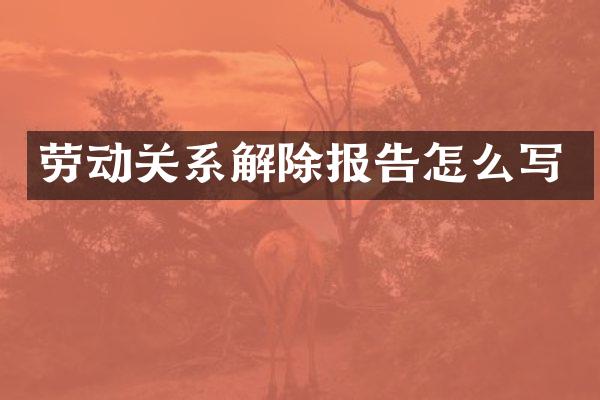 劳动关系解除报告怎么写