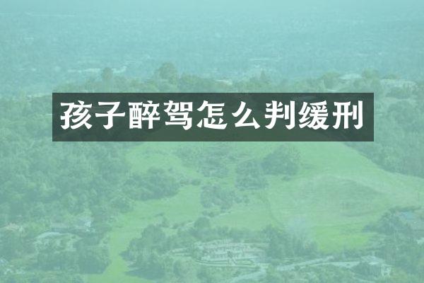 孩子醉驾怎么判缓刑