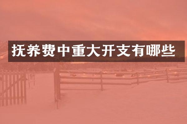 抚养费中重大开支有哪些