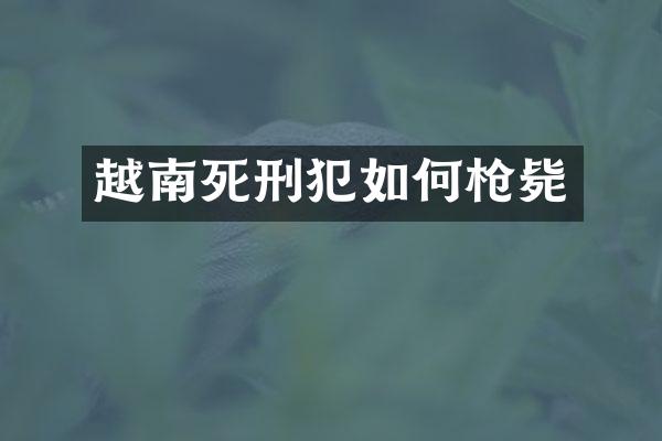越南死刑犯如何毙