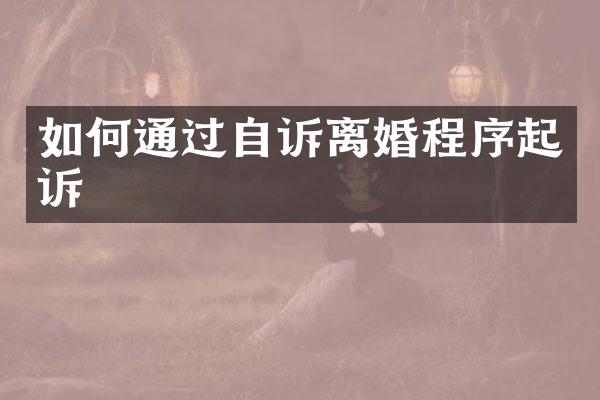 如何通过自诉离婚程序起诉