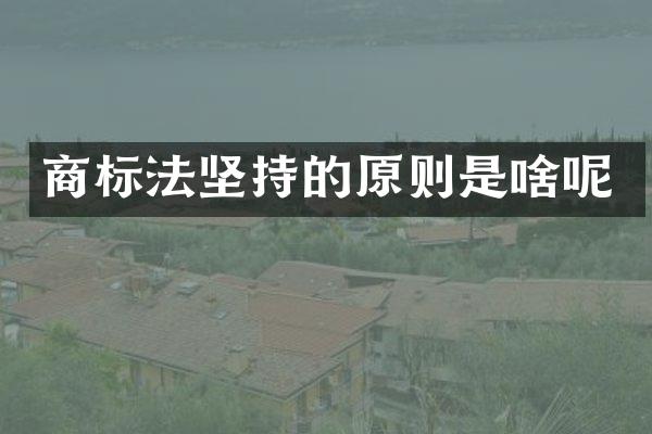 商标法坚持的原则是啥呢