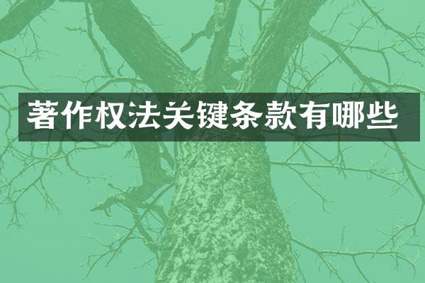 著作权法关键条款有哪些