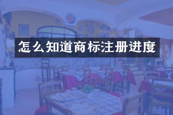 怎么知道商标注册进度