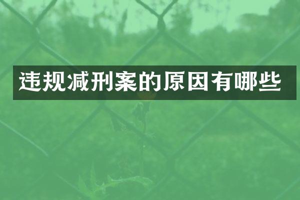 违规减刑案的原因有哪些