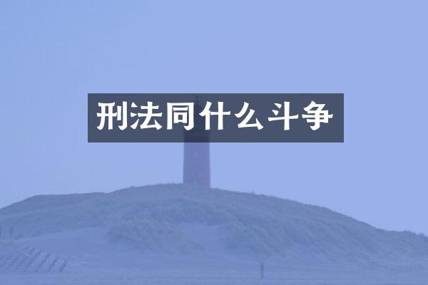 刑法同什么斗争