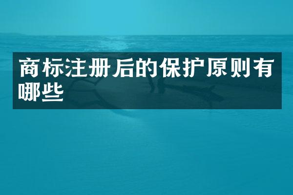 商标注册后的保护原则有哪些