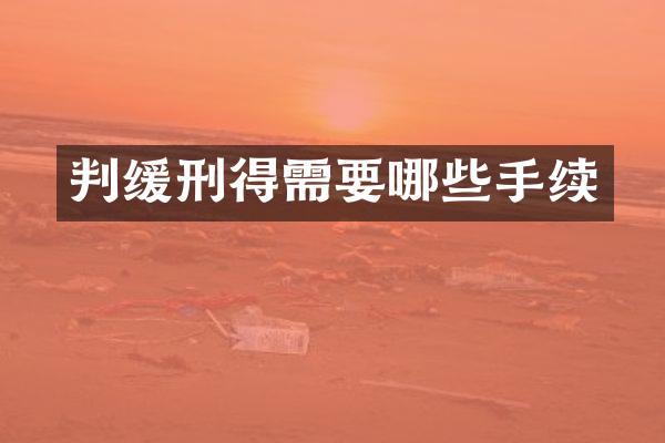 判缓刑得需要哪些手续