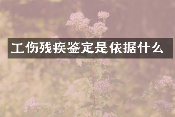 工伤残疾鉴定是依据什么
