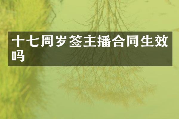 十七周岁签主播合同生效吗