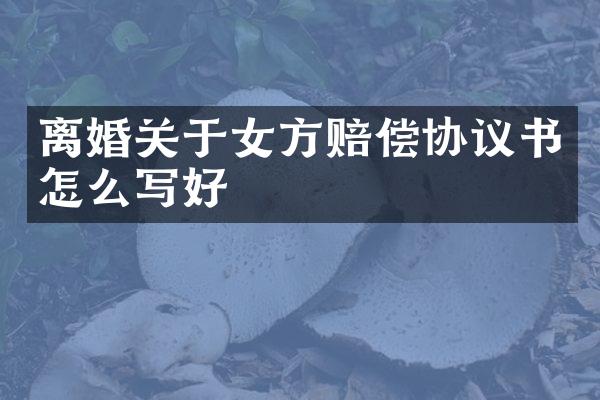 离婚关于女方赔偿协议书怎么写好