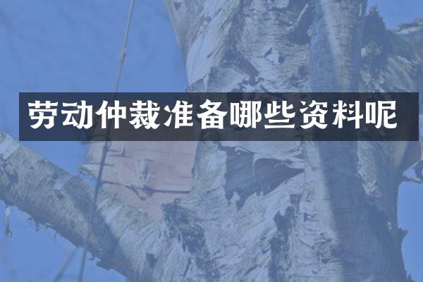 劳动仲裁准备哪些资料呢