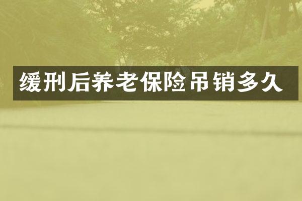 缓刑后养老保险吊销多久
