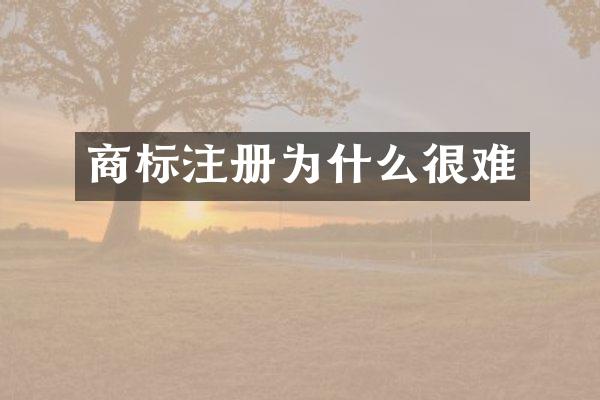 商标注册为什么很难