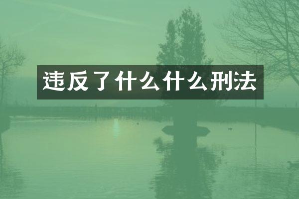 违反了什么什么刑法