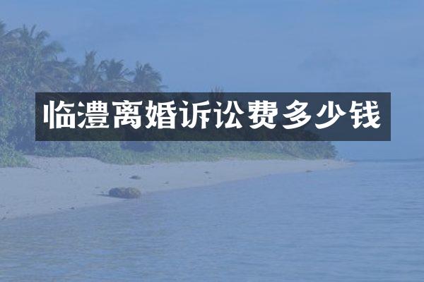 临澧离婚诉讼费多少钱