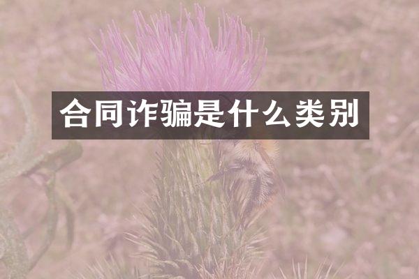 合同诈骗是什么类别