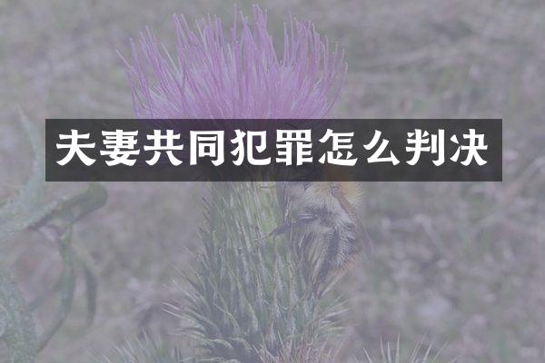 夫妻共同犯罪怎么判决