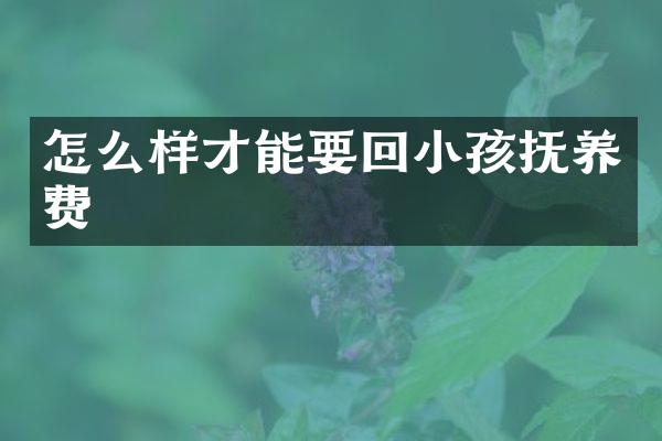 怎么样才能要回小孩抚养费