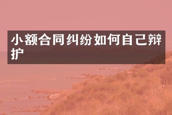 小额合同纠纷如何自己辩护