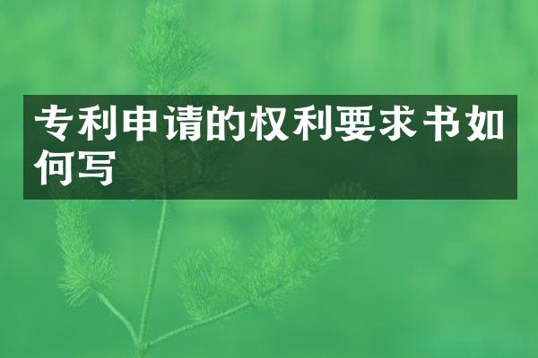 专利申请的权利要求书如何写