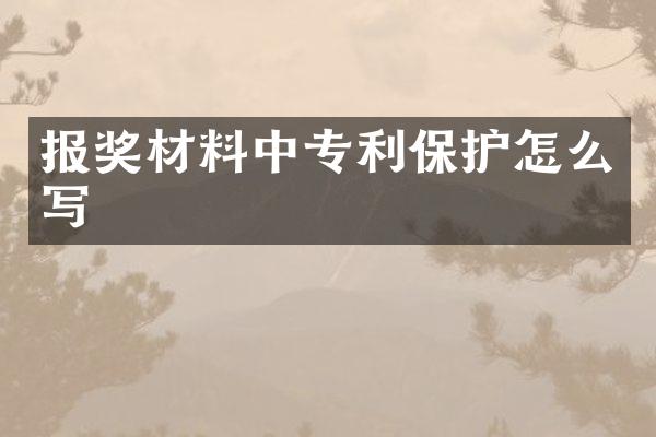报奖材料中专利保护怎么写