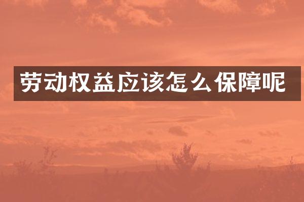 劳动权益应该怎么保障呢