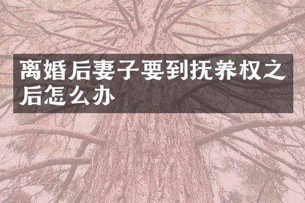 离婚后妻子要到抚养权之后怎么办