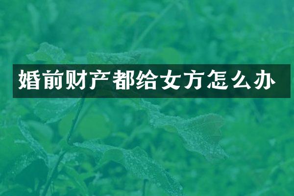 婚前财产都给女方怎么办