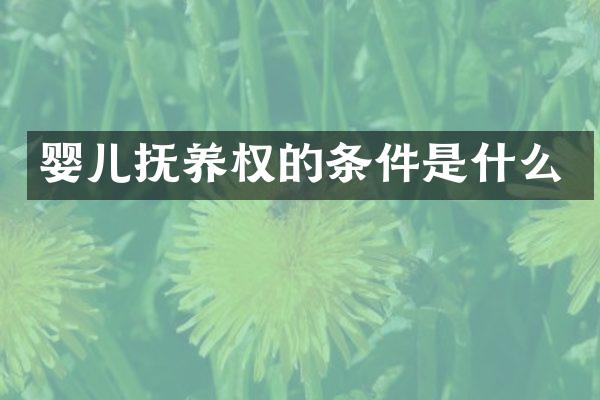 婴儿抚养权的条件是什么