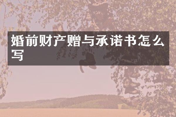婚前财产赠与承诺书怎么写