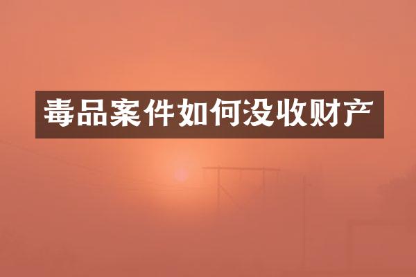 案件如何没收财产