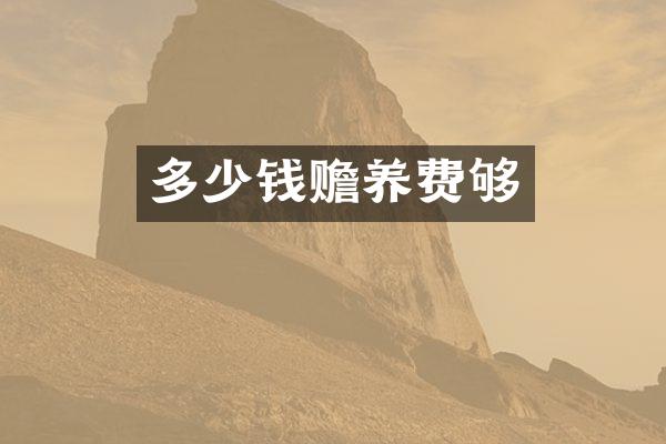 多少钱赡养费够