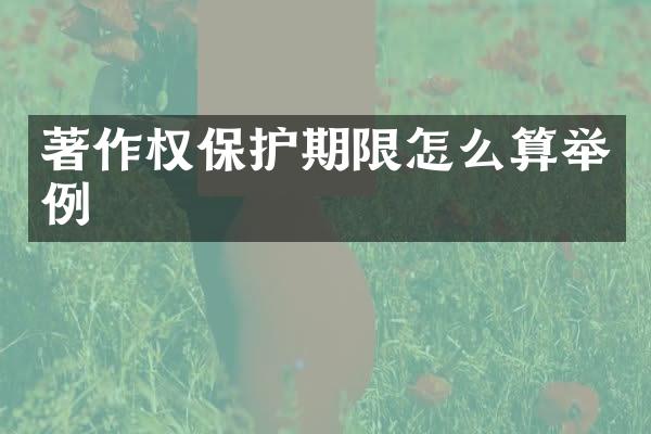 著作权保护期限怎么算举例