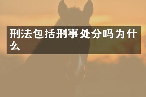 刑法包括刑事处分吗为什么