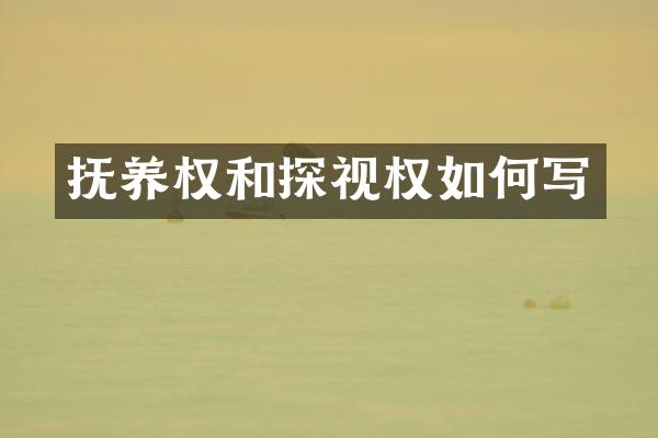 抚养权和探视权如何写