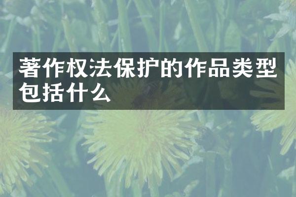 著作权法保护的作品类型包括什么