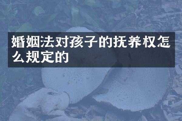 婚姻法对孩子的抚养权怎么规定的